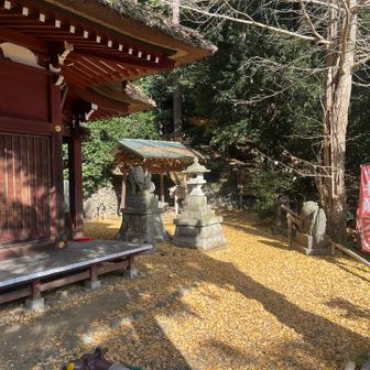 ウロウロ歩く🚶