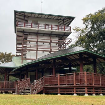 開けた場所に出ると、枡形山展望台に到着。
このあたりが、枡形山山頂？標識は見当たらず。