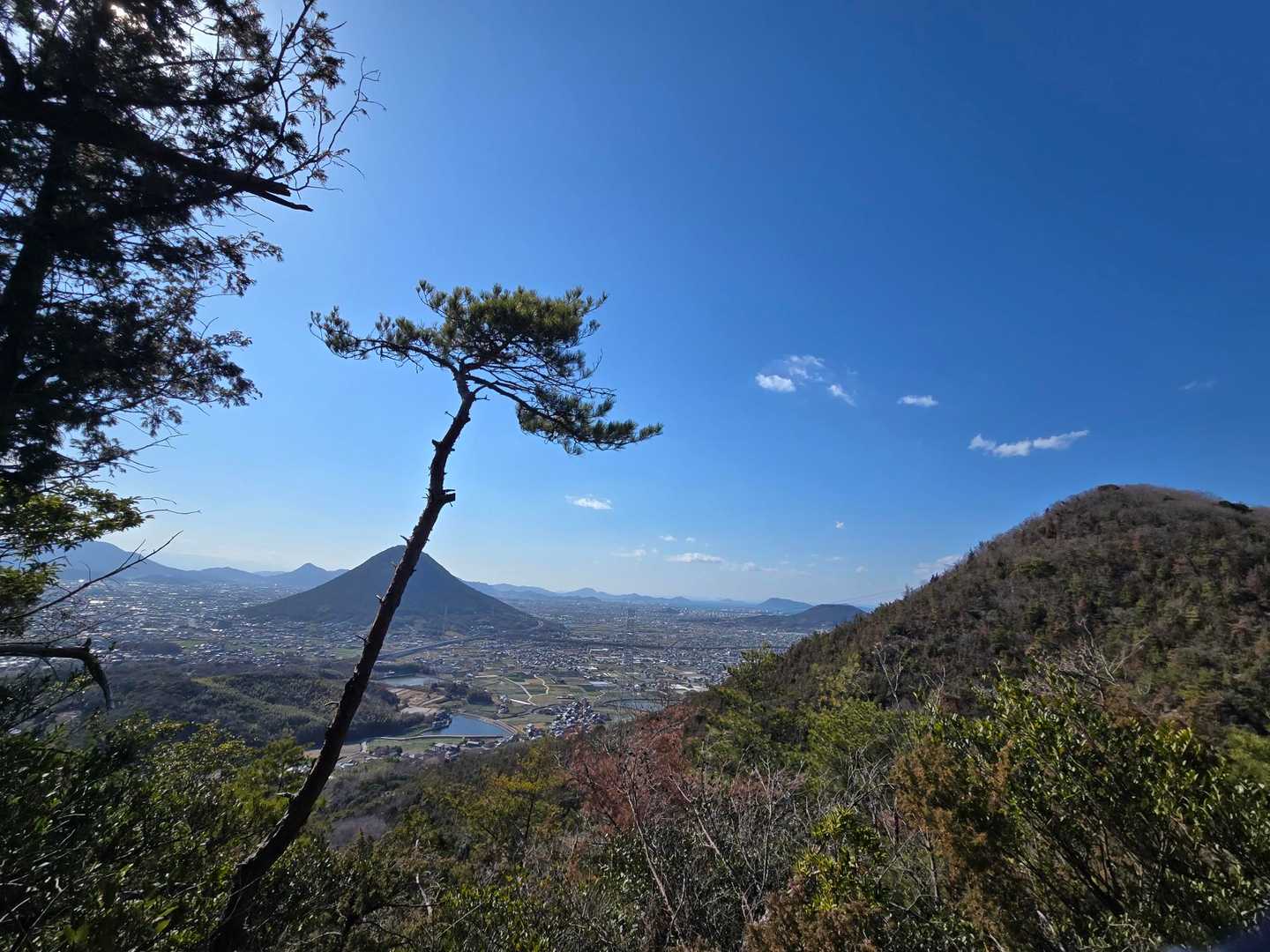 郷師山と讃岐富士