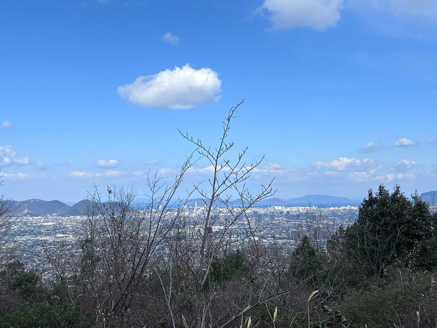 海岸沿いは晴れてる☀️