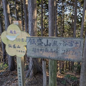 もう一つの飯盛山(こちらは、越生町最高峰)🍚