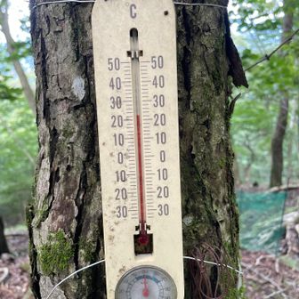 22℃