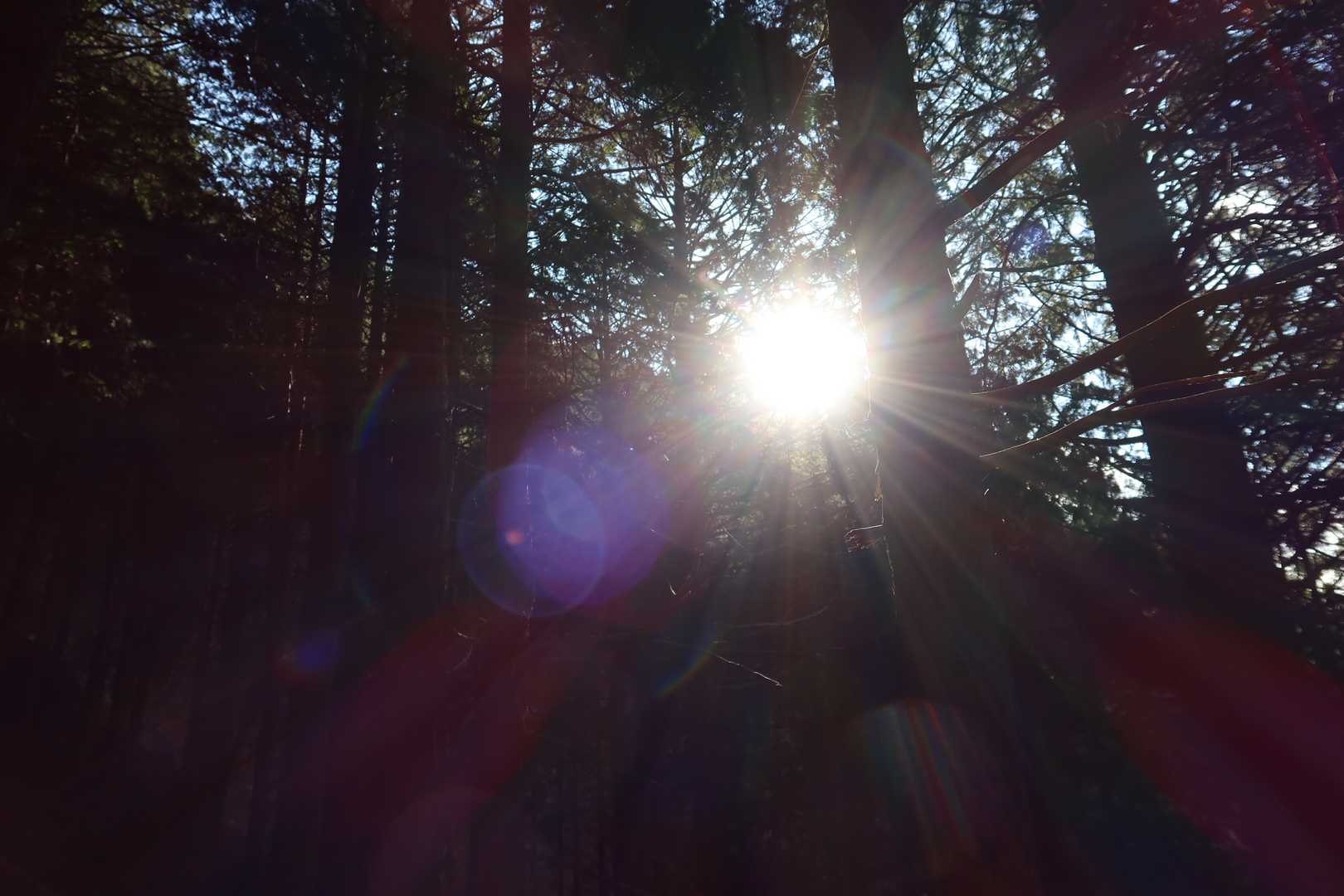 眩しい朝陽が気持ち良い
