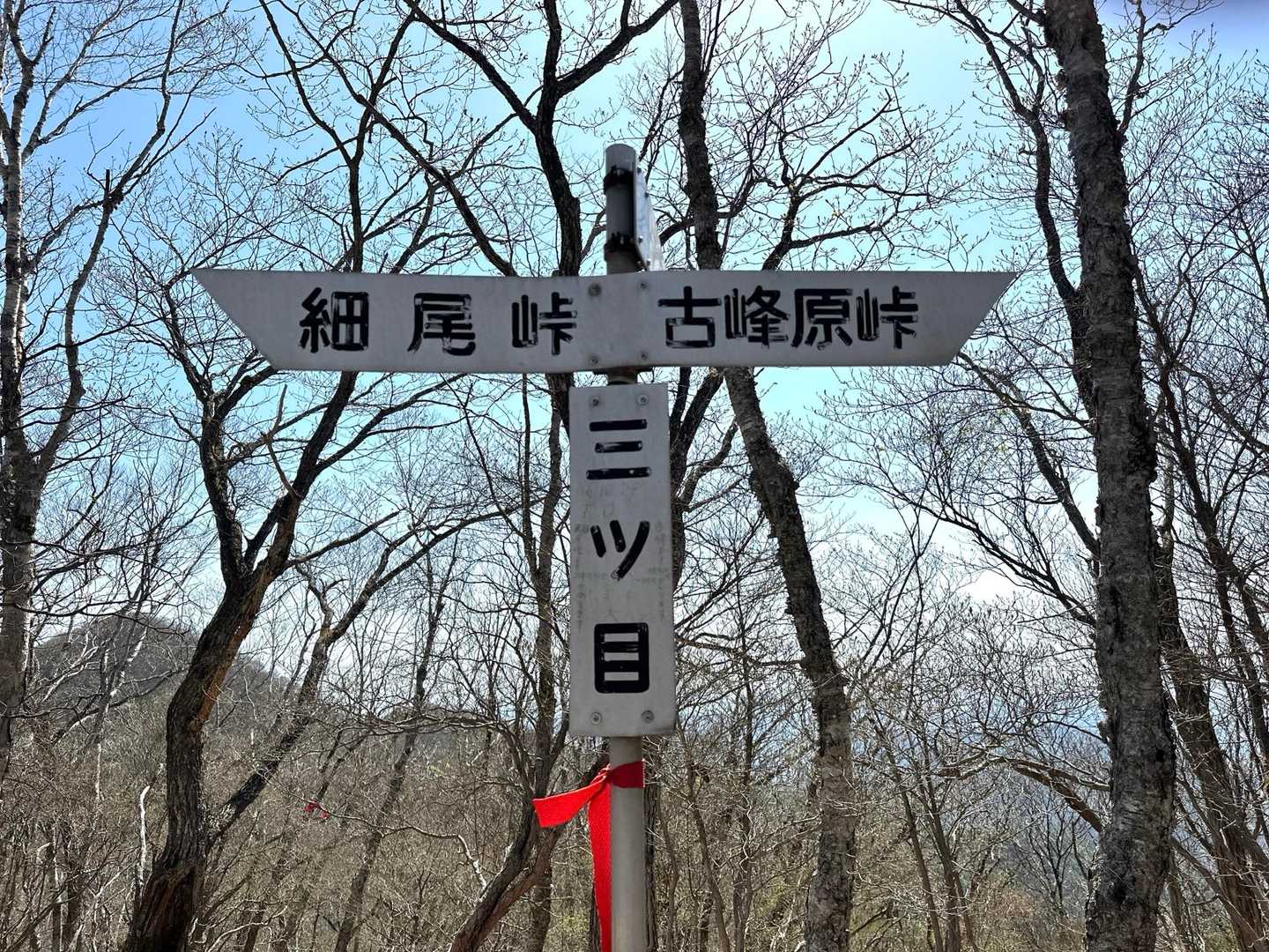 三ツ目👁️👁️👁️
この分岐を左に夕日岳を目指します💦