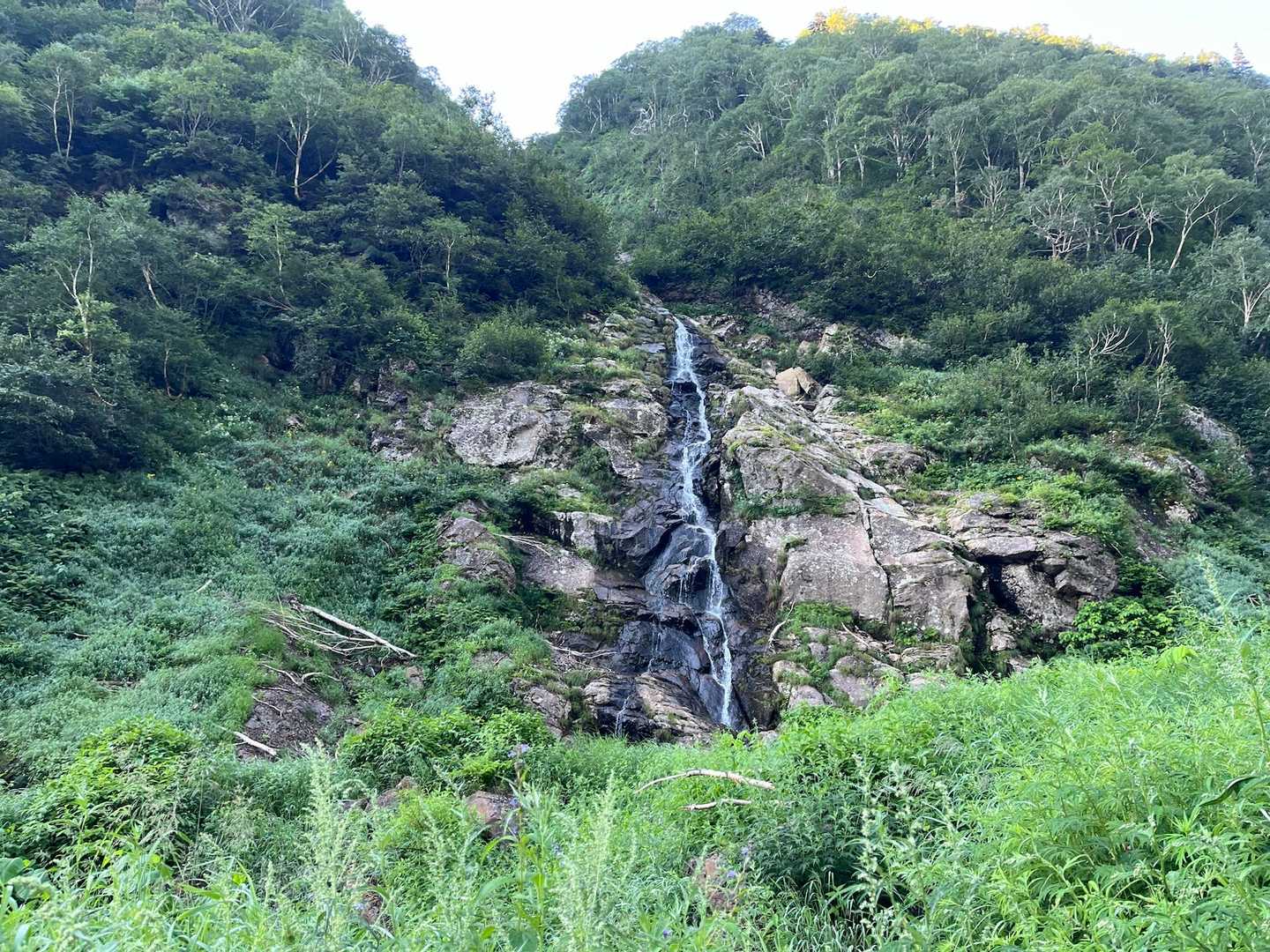 いいねー👍