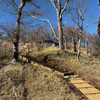 青ヶ岳山荘が見えてきた。コーラ飲みたい！
