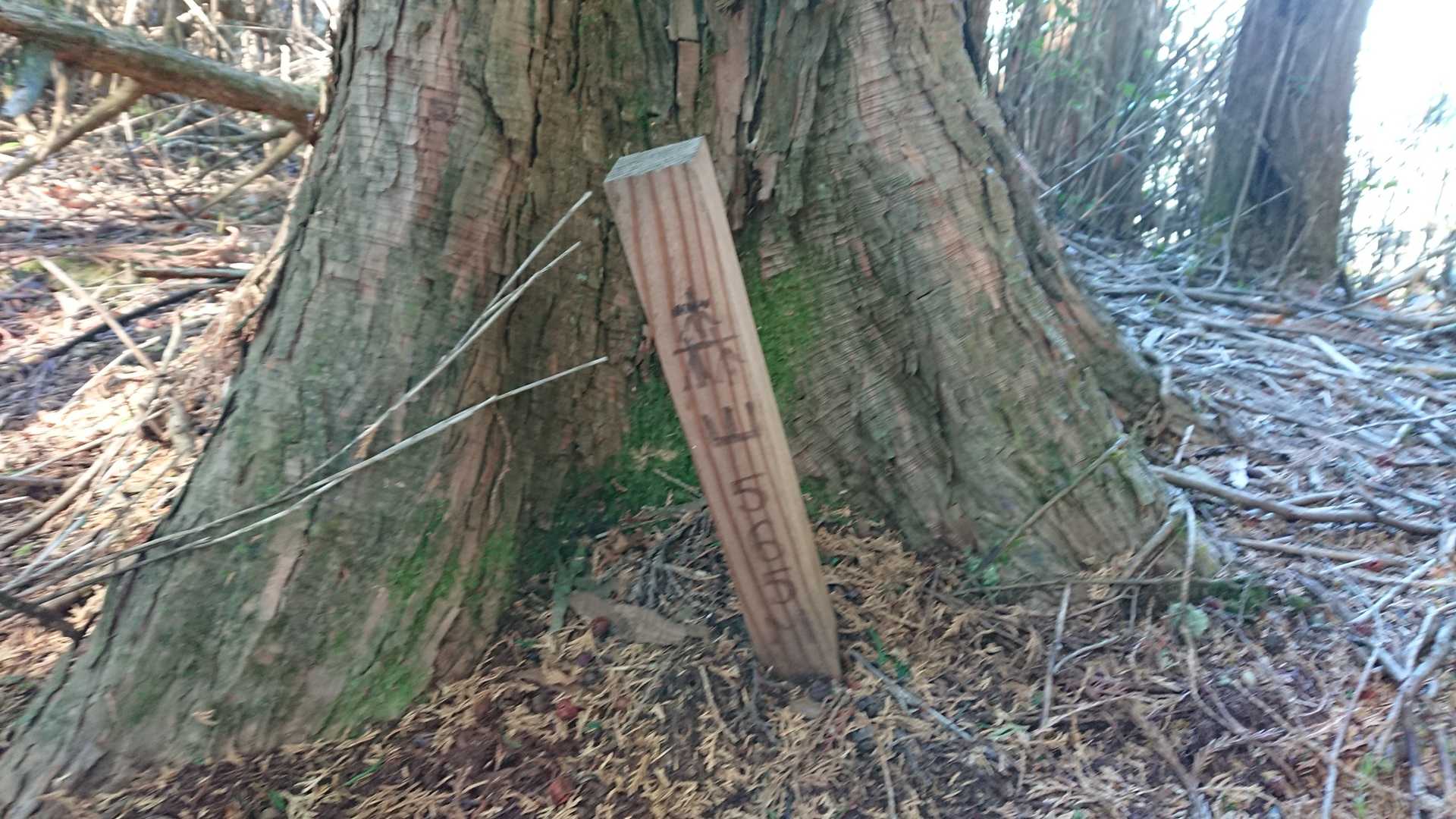 森山山頂に到着しました😃💦