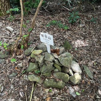 琴平山　