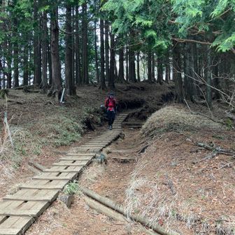 帰りはゆとり教育世代の若者達と降ります🤣
お山初心者で初丹沢です🤭
もう一人は大手ヤマ用品店の元スタッフ！

いろいろ話が聞けて勉強になりました🤭