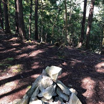 忠兵衛山。過去100mルールで何度か取れてましたがリアル登頂です。
