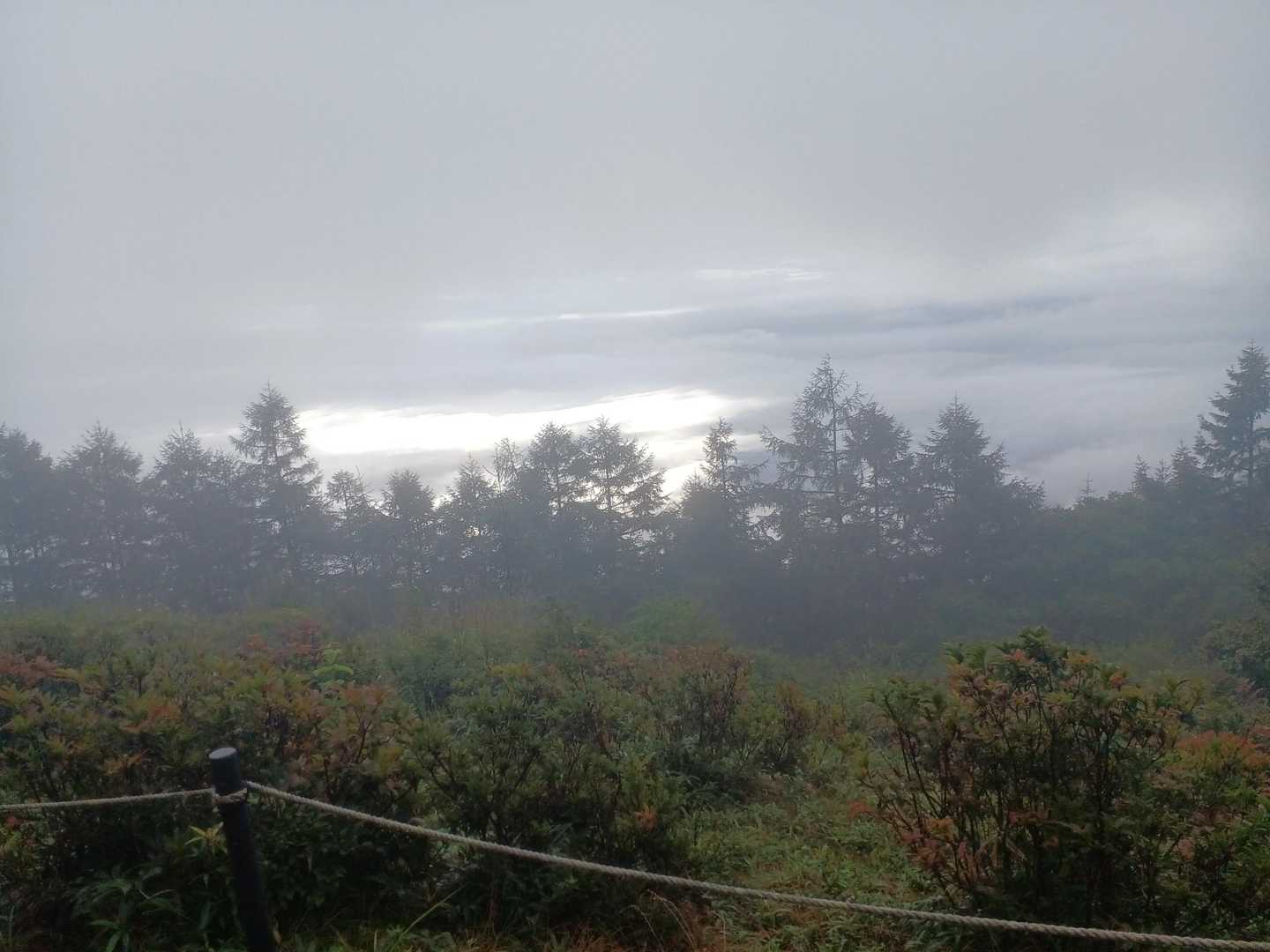 富士山展望地からの眺め