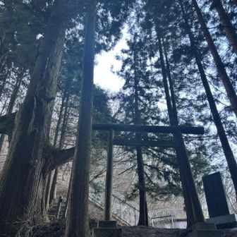 下山後。奥の院に進むこの鳥居、雰囲気あります。