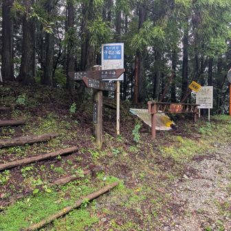 世附峠
ここから生土分岐あたりまでヒル祭り会場