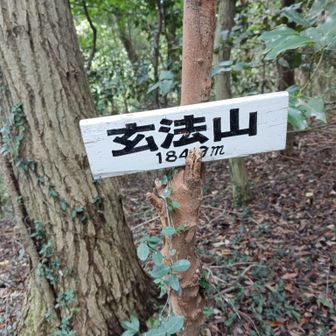 🕷️🕸️凄い！
もー帰ろうかと思ったけど、（泣）→（笑）
両手のストックフル回転…