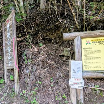 ここから本格的な登山口です