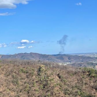 まだまだ燃えてる🔥
イノシシがいっぱいいるって言ってたけど、どこかに逃げたのかな🐗