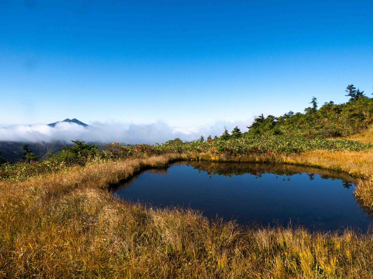 会津駒ヶ岳・中門岳 | 急登の先は池塘が点在する天上の楽園。開放感抜群の木道歩きの写真