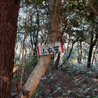 十座目、小衣笠