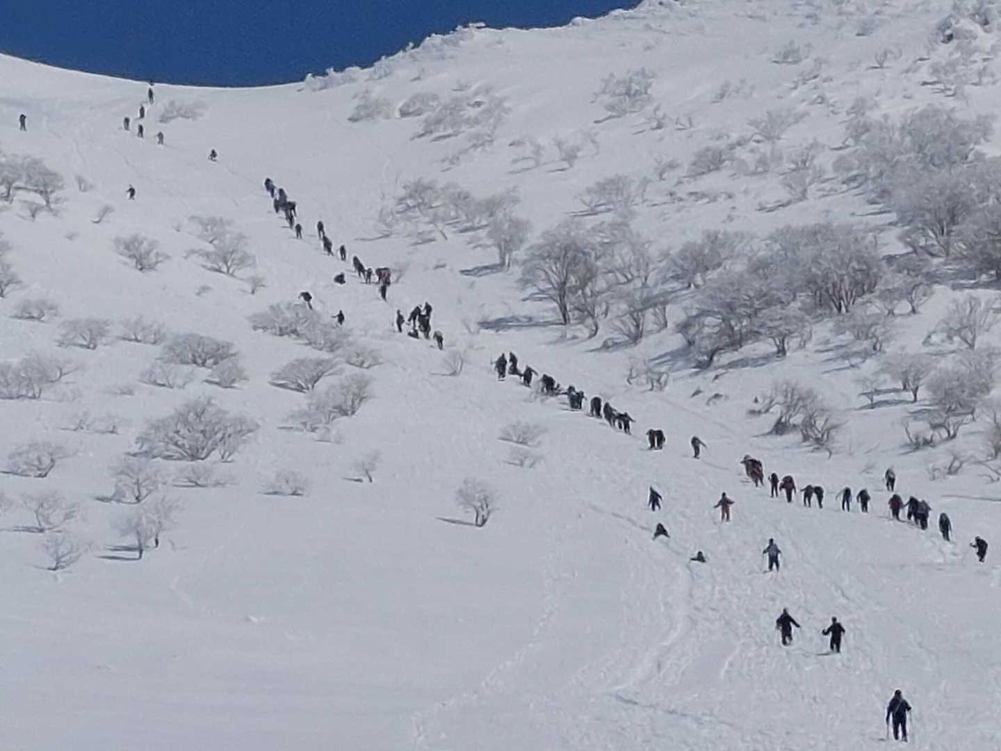 マダマダすんごい行列。。。