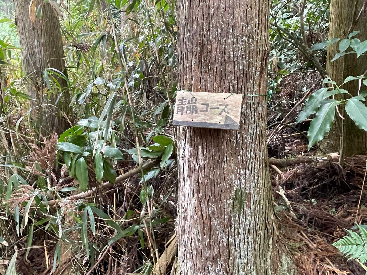 本日も無事下山感謝です