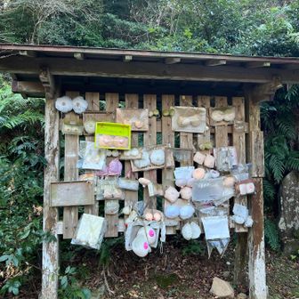 おっぱいがいっぱい