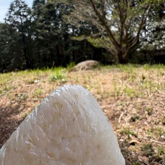 なんだかお腹すいたので
ひとつだけおにぎり食べることに
もちあわ入りです(*¯︶¯♥)

ここは、基山頂上と違い、誰もおらず
いつもの如く
静寂の中パクパク・・