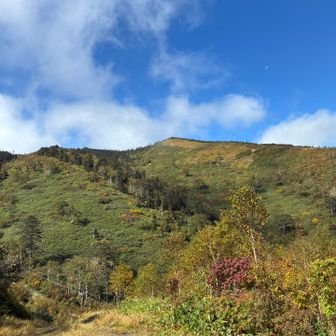 樹林帯をぬけた。天気は最高。