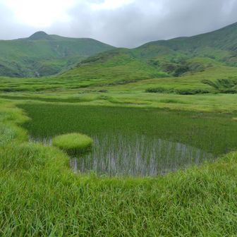 大きな池塘も