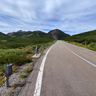 舗装路に出た。変な気分。