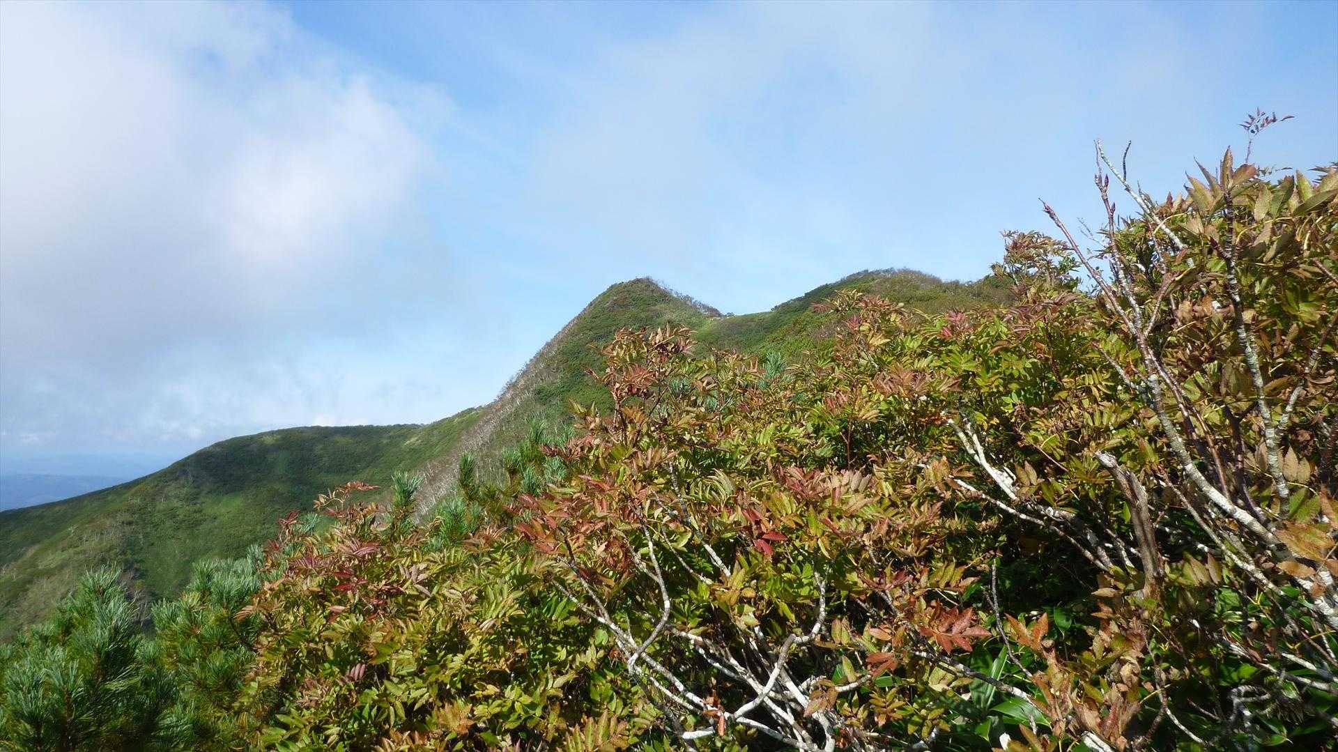 ここの紅葉も期待できそう