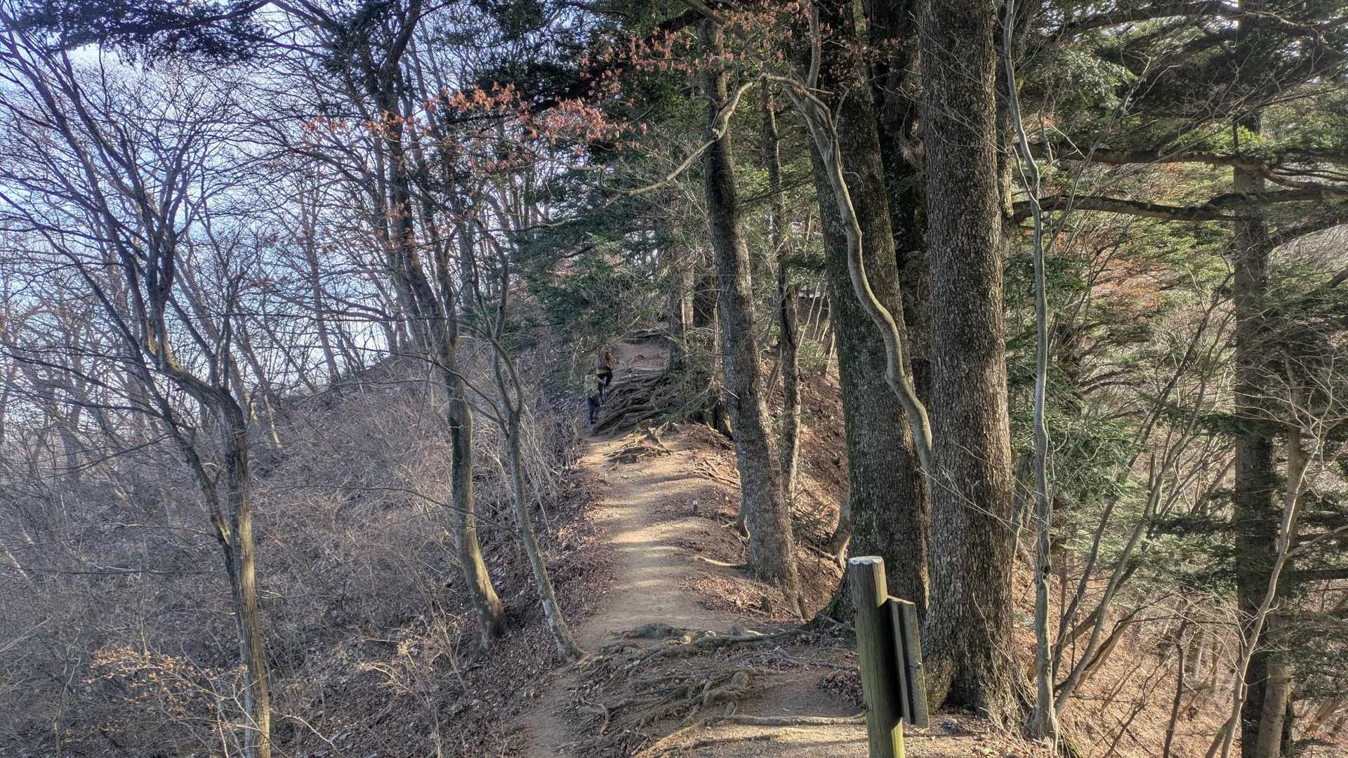 仏果山登山口バス停-宮ヶ瀬越-高取山 往復コースの写真