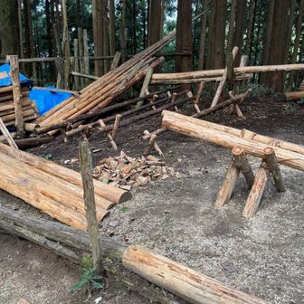 春に板来た時には見かけなかった気がしますが、何か出来るのでしょうか。
