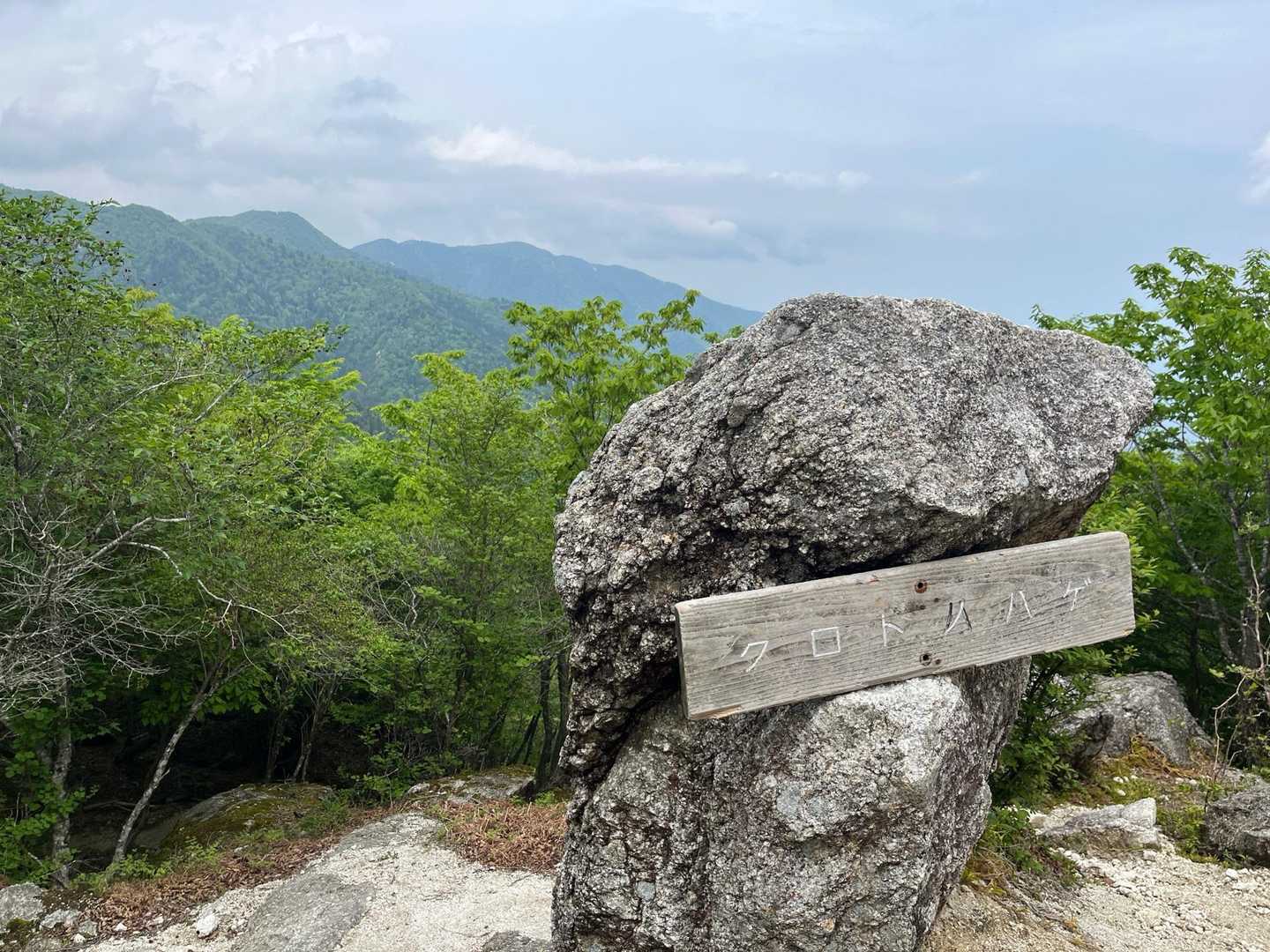 平バス停→権現山→小女郎ヶ池→蓬莱山→志賀駅　縦走コースの写真