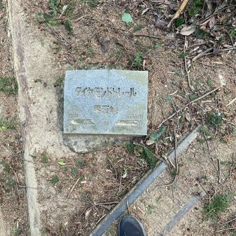 ダイヤモンドトレール