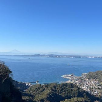 金谷の町と東京湾