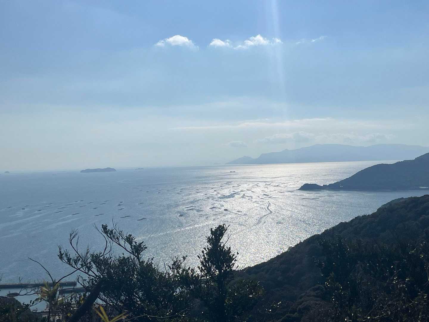 キラキラ🤩
