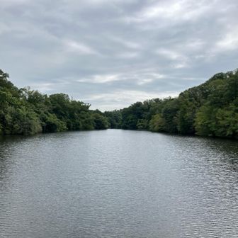 室池　東側