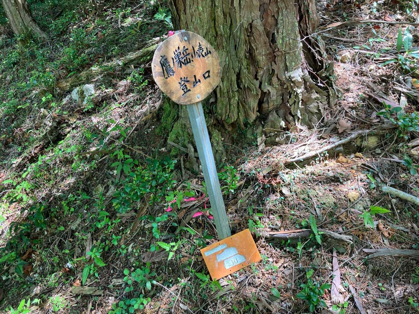 ヤマビルに襲われることもなく
ケガをすることもなく
体調も良く
無事に下山