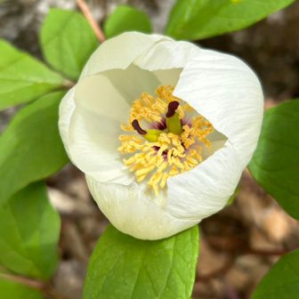 青空ららら～♪