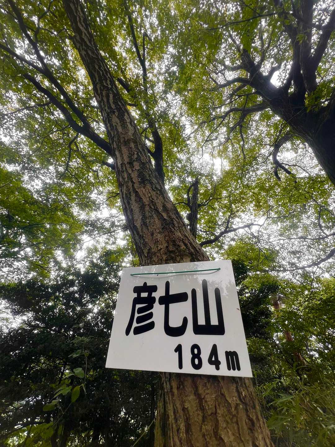三つ目ピーク！彦七山