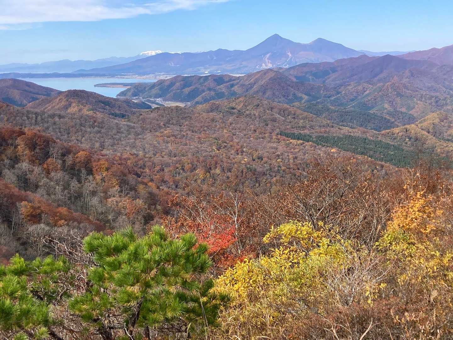 御霊櫃峠-大将旗山-額取山 往復コースの写真