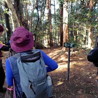 真新しい龍ヶ岳の山頂標識