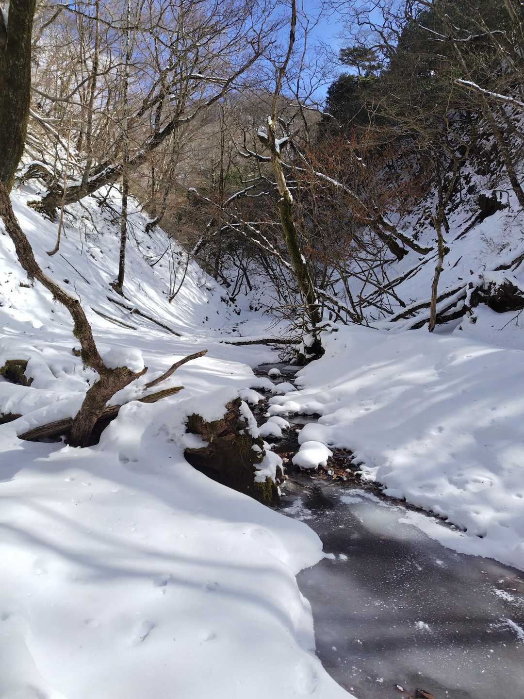 雪国の沢じゃん！
沢の音、鳥の鳴き声、風の音を楽しみながらこの景色は幸せです。
静岡市じゃないみたい。