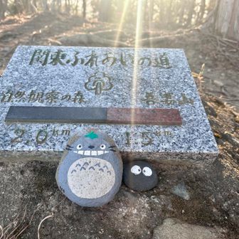 ここから離れて次の萱野山に向かおうとしたところ、クマを4頭🐻登山道で遭遇したハイカーさんが戻ってきた


これから向かうハイカーさんにお一人ずつ注意喚起の言葉をかけてくれた🙏🏻



まだまだ🐻活動中につき
撤退



スライドする皆さんに声かけしてゲッザーン