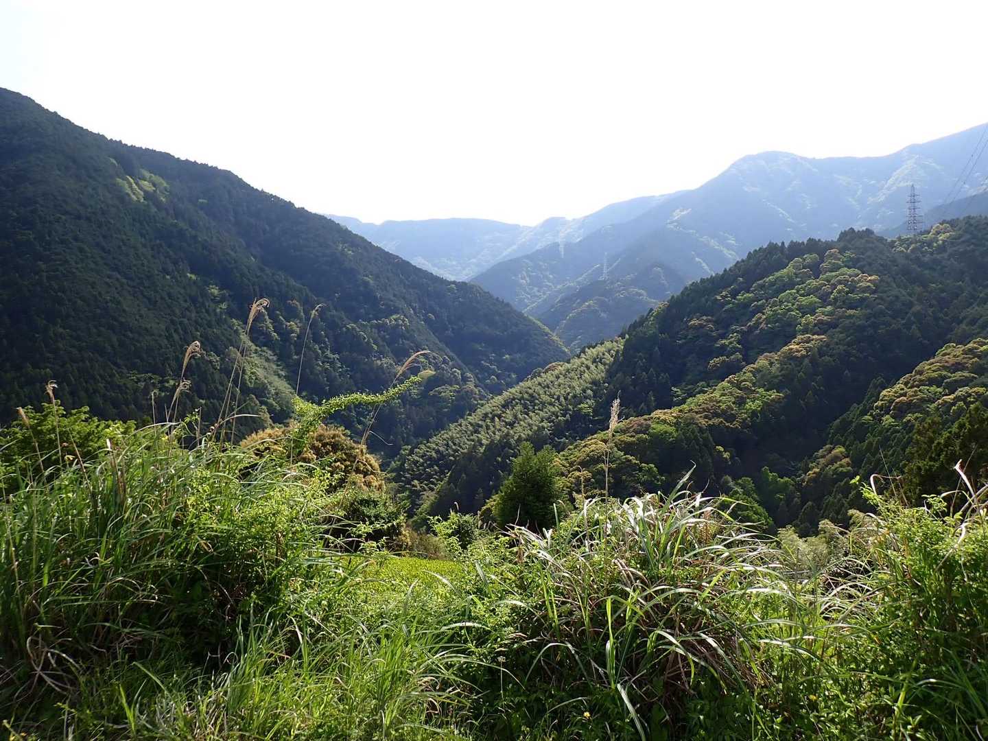 杉尾山ハイキングコース入口-杉尾山-杉尾山登山口 周回コースの写真