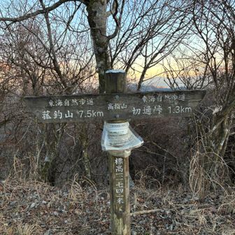 高指山　百低山でした
