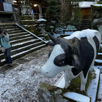 来年も牛乳沢山飲んで大きくなるも〜🐄
チェーンスパイクをここで外させていただきました🙏