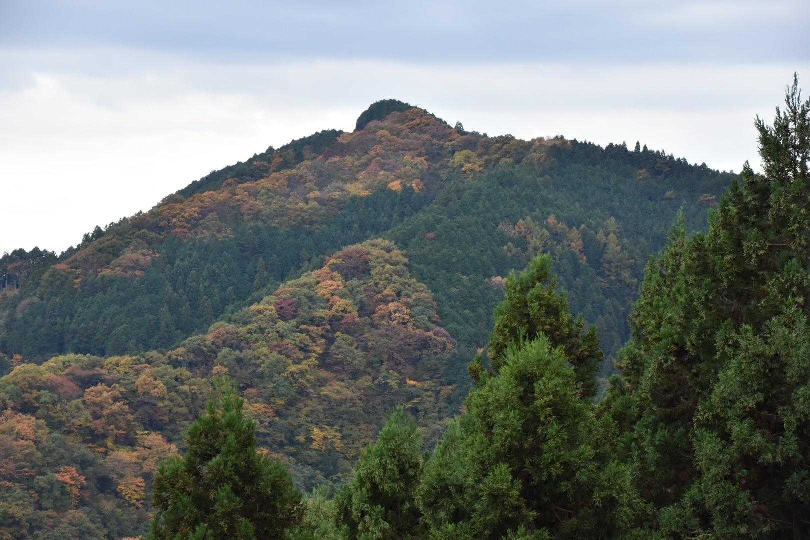 麻生山
紅葉が綺麗🍁
