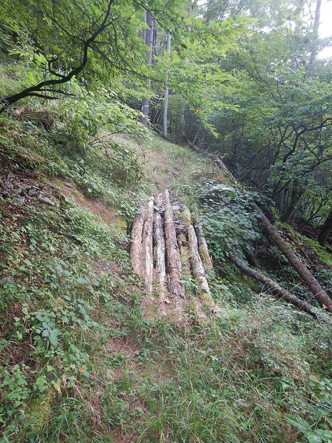 小楢山（フフ山梨登山口）＜母恋し道＞の写真