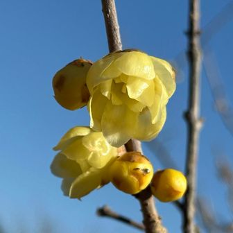元気をもらえます💞